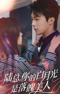 ½����İ��¹�����������