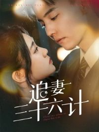 ׷����ʮ����