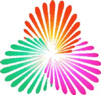 ȫ�˻������ʸ��� B�齭��51��82�㽭20250606