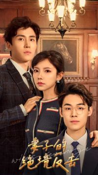 ���ӵľ�������