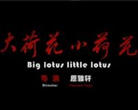 ��ɻ�С�ɻ�