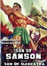 ����Ķ���